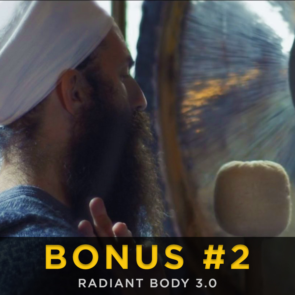 BONUS #2: NAAD RASAYAN - GONG REJUVENATION MEDITATION