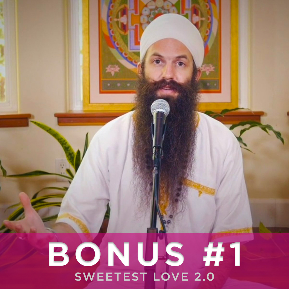 Bonus #1: Couple's Constitution Class - You and Your Partner's Dosha Explained