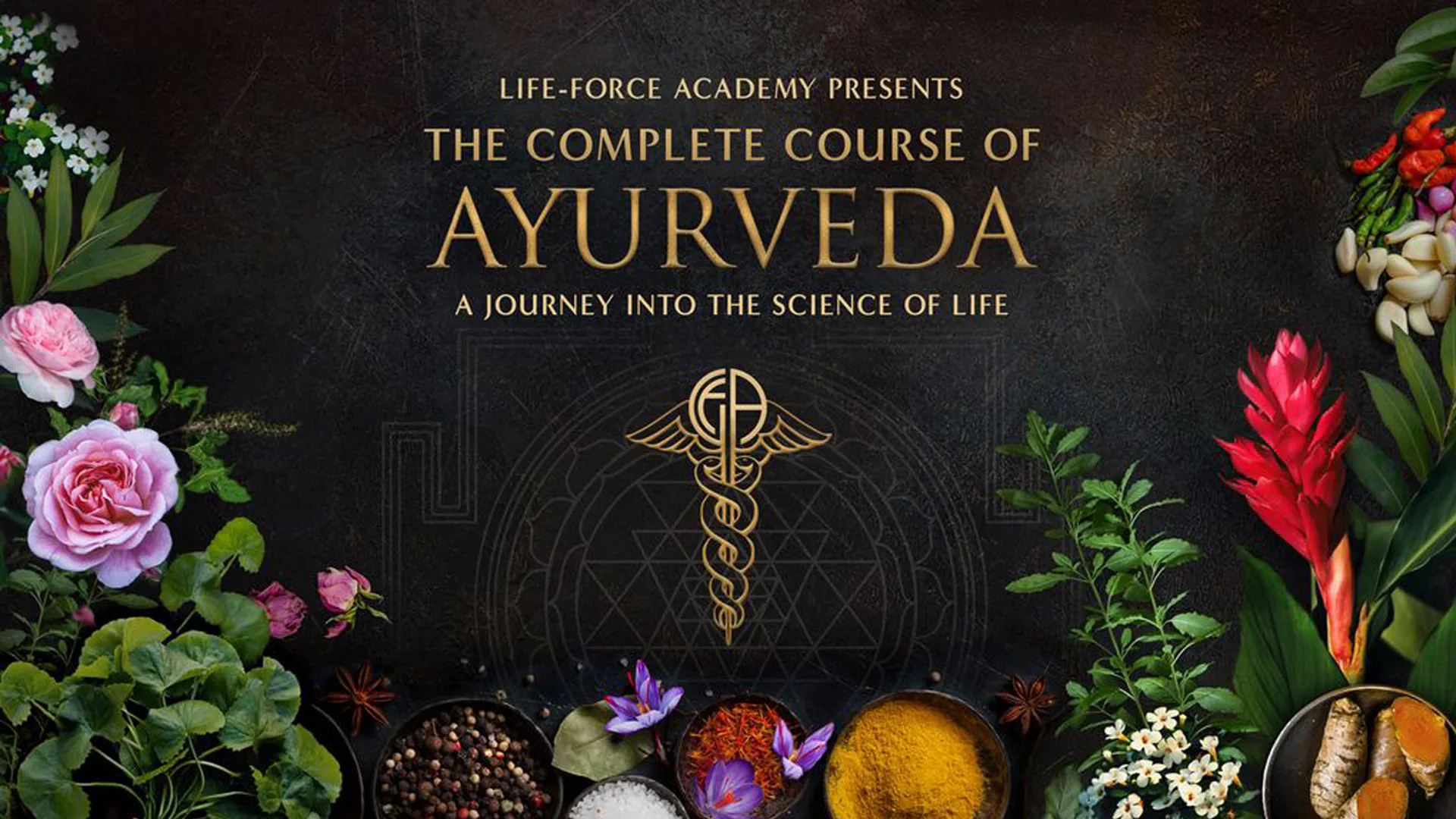 The Complete Course of Ayurveda 3.0