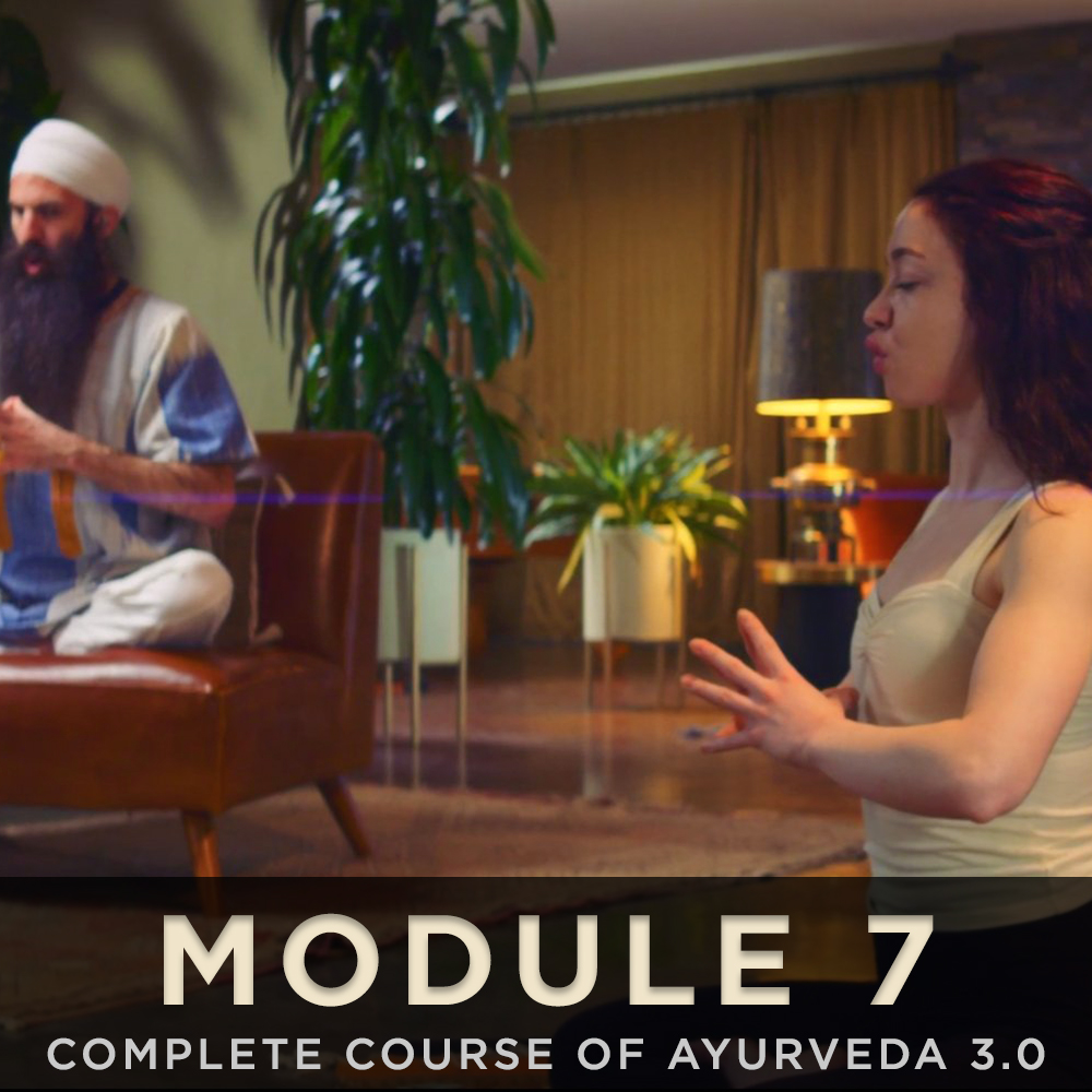 Module content