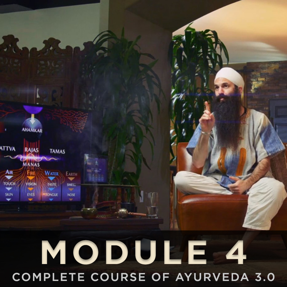 Module content