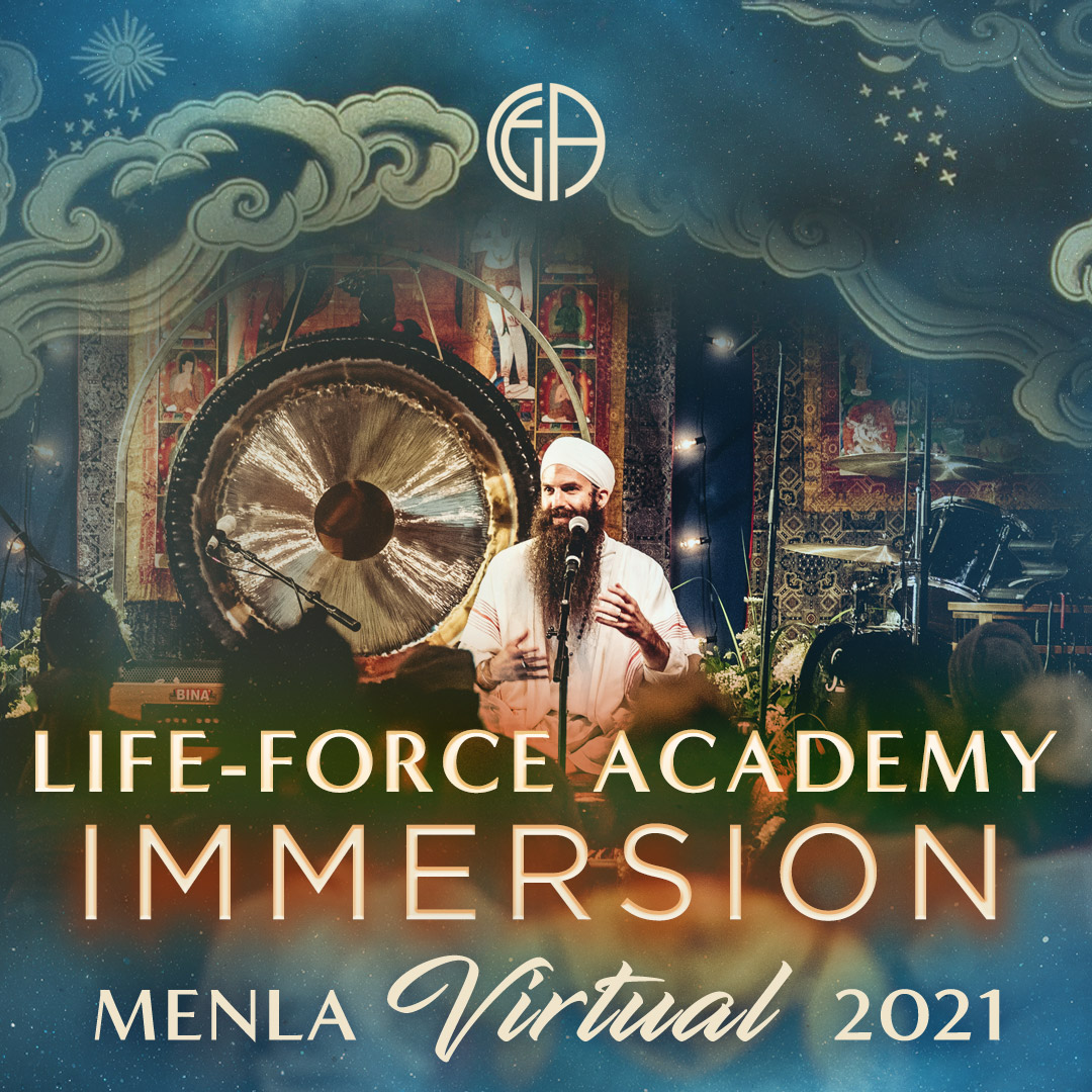 Bonus #4: The 8 Human Vitalities Immersion Course