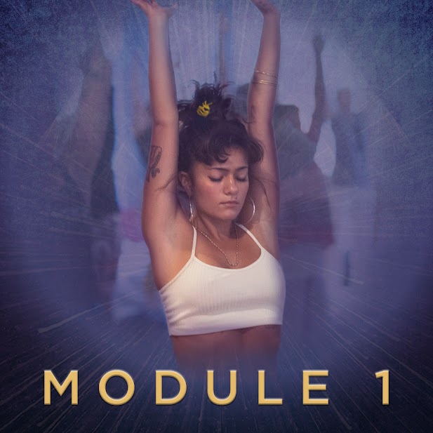 Module content