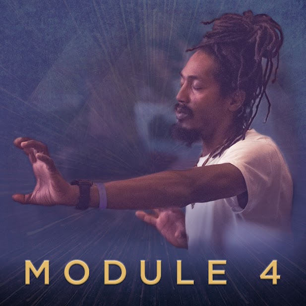 Module content