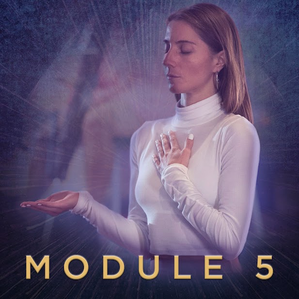 Module content