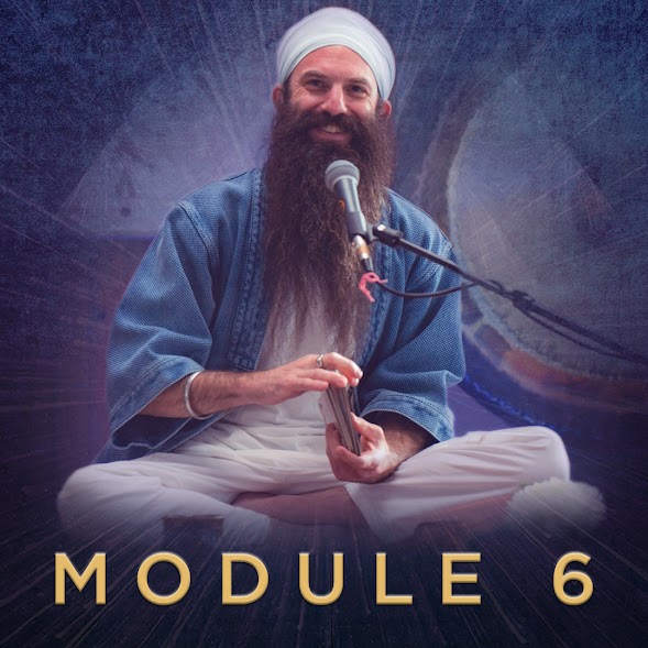Module content