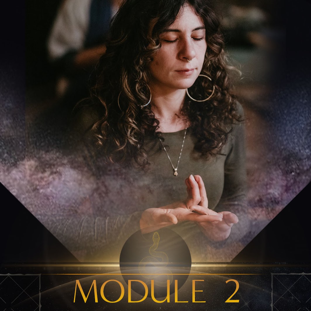 Module content