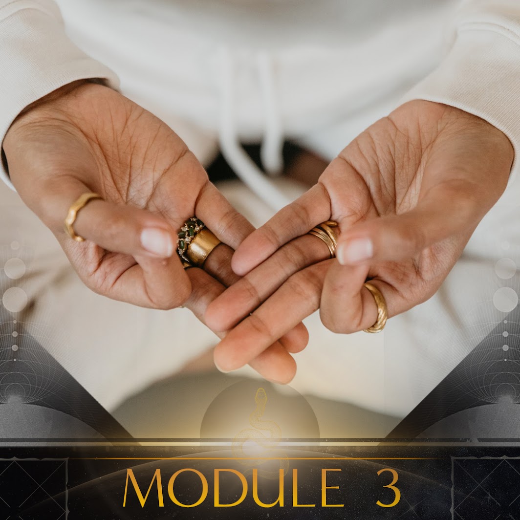 Module content