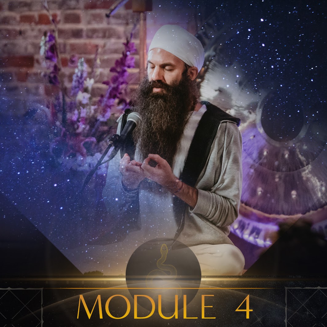 Module content