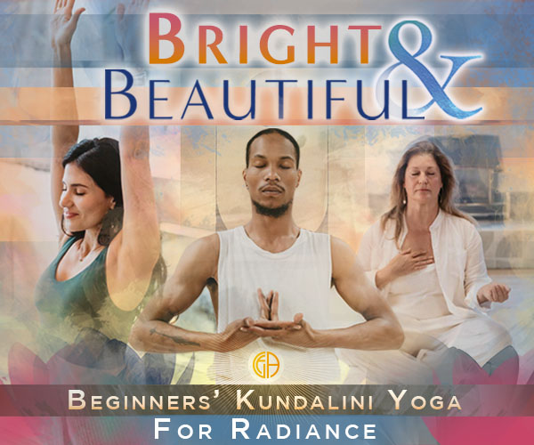 Bright & Beautiful 2.0: Payment Plan