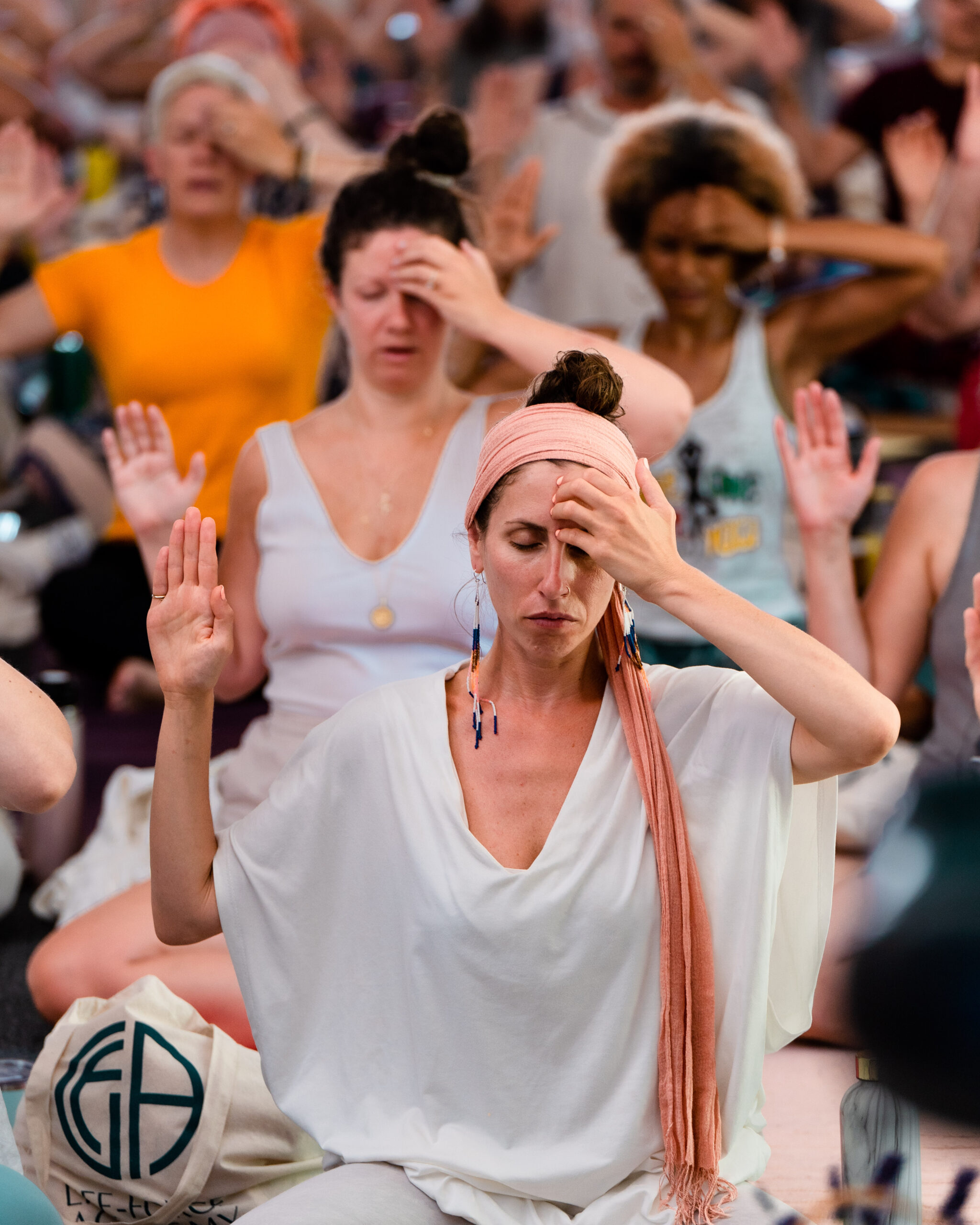 Entering the Heart of the Yoga Sutras