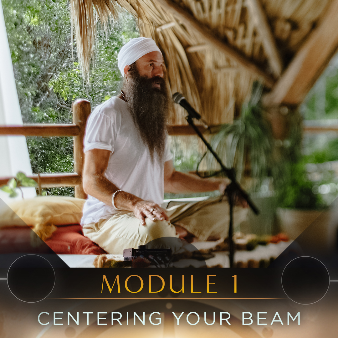 Module content