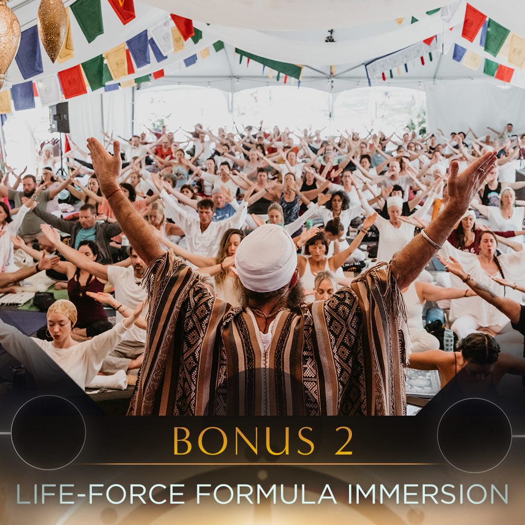 Student Pricing at Live LFA Solstice Immersion