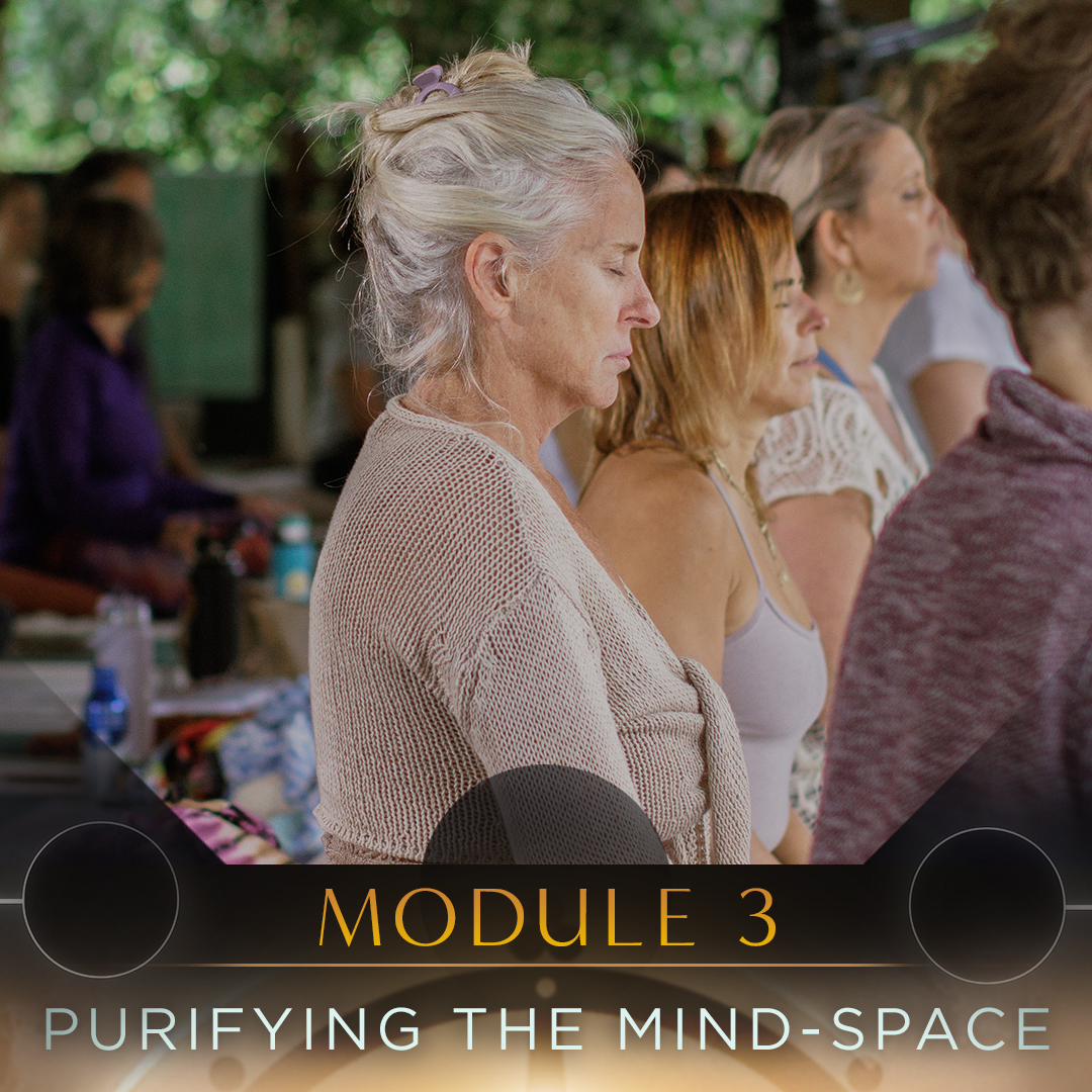 Module content