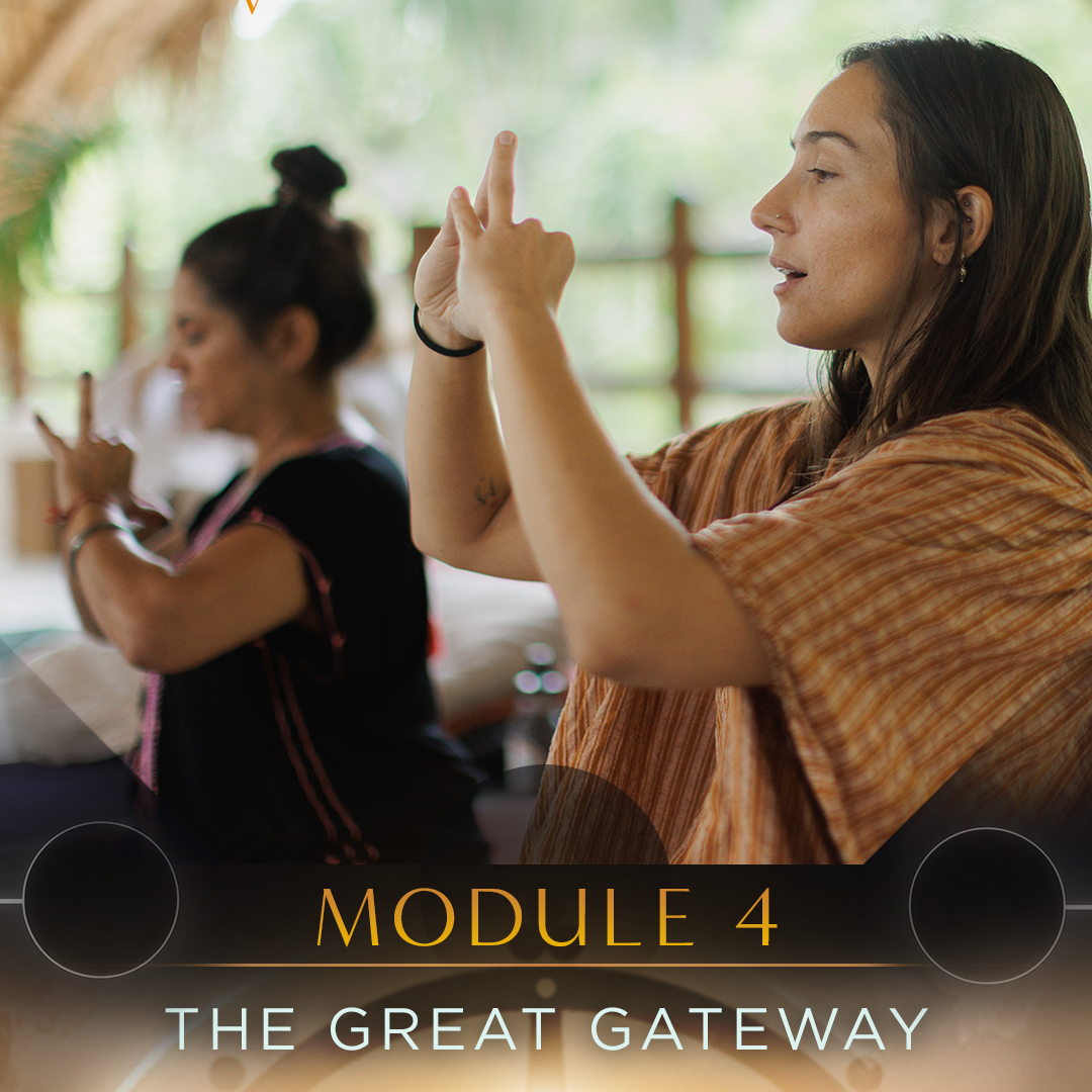 Module content