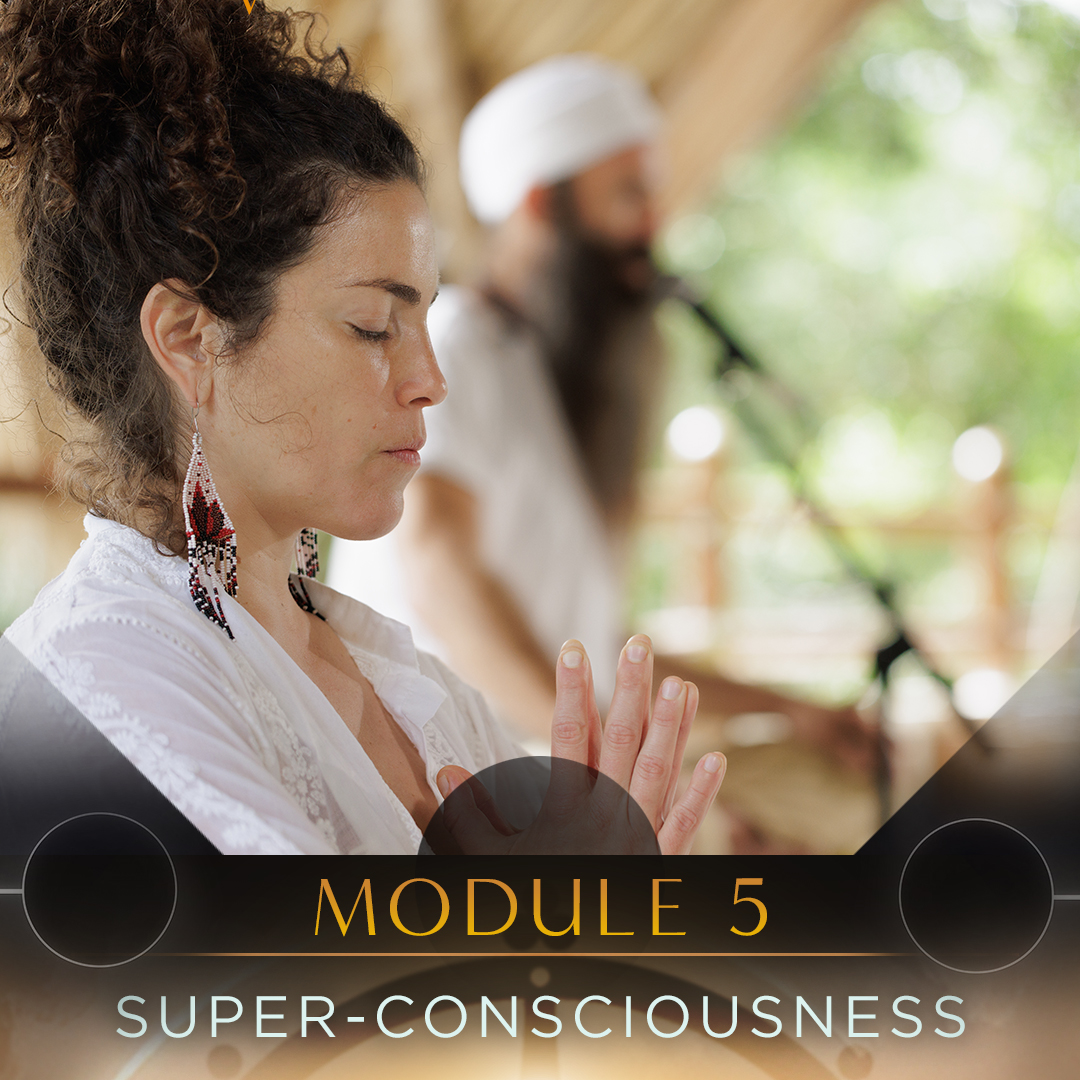 Module content